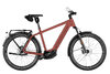 Riese & Müller Charger5 Pinion HS Maroon