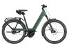 Riese & Müller Nevo5 Rohloff Moss
