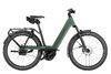 Riese & Müller Nevo5 Automatic Moss