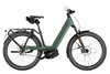 Riese & Müller Nevo5 Pinion HS Moss