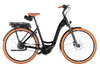 Riese & Müller Swing5 Vario Black