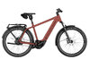 Riese & Müller Charger5 Vario Maroon