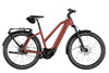Riese & Müller Charger5 Mixte Silent CORE Maroon