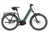 Riese & Müller Nevo5 Pinion Moss