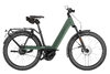 Riese & Müller Nevo5 Vario HS Moss