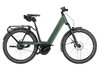 Riese & Müller Nevo5 Vario Moss